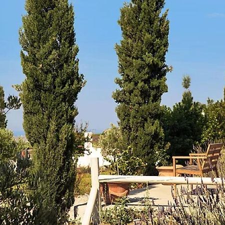Christou Estate & Villas Pýrgos Exterior foto